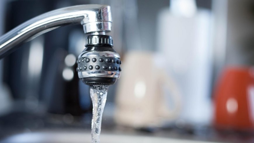 Fayalobi: Een beetje Afrika