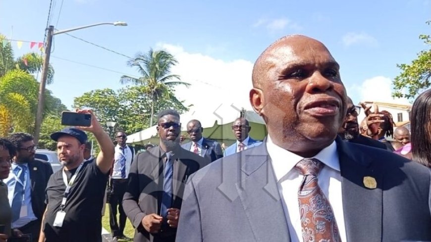 Vooruitgang in samenwerking tussen Caribisch gebied en Afrika