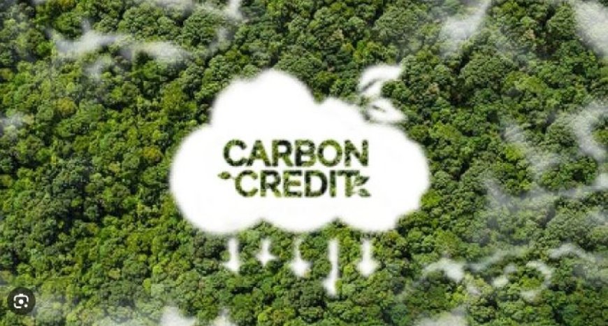 Suriname wil snel verdienen aan CO₂-markt, maar cruciale vragen blijven onbeantwoord