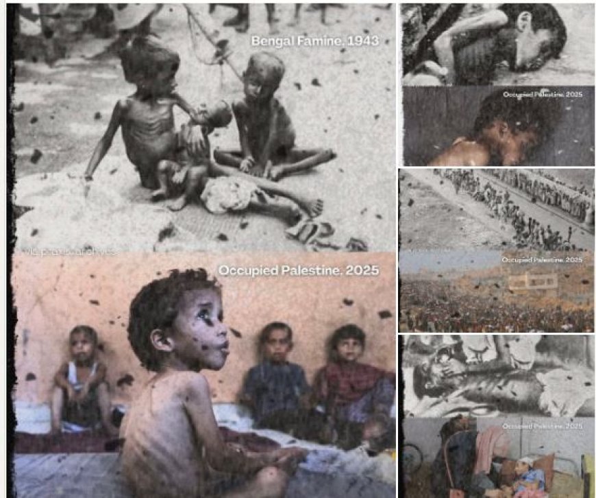 De hongersnood van Bengal (1943): Een imperialistisch beleid met dodelijke gevolgen