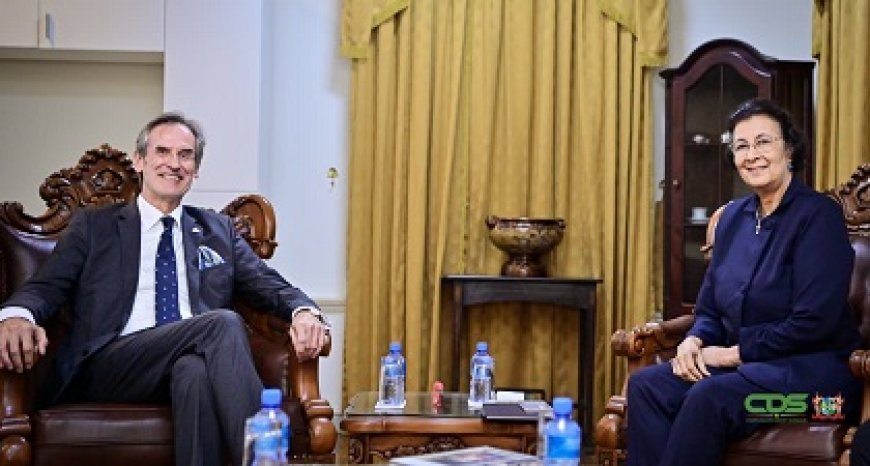 Nederlandse ambassadeur maakt kennis met president Simons