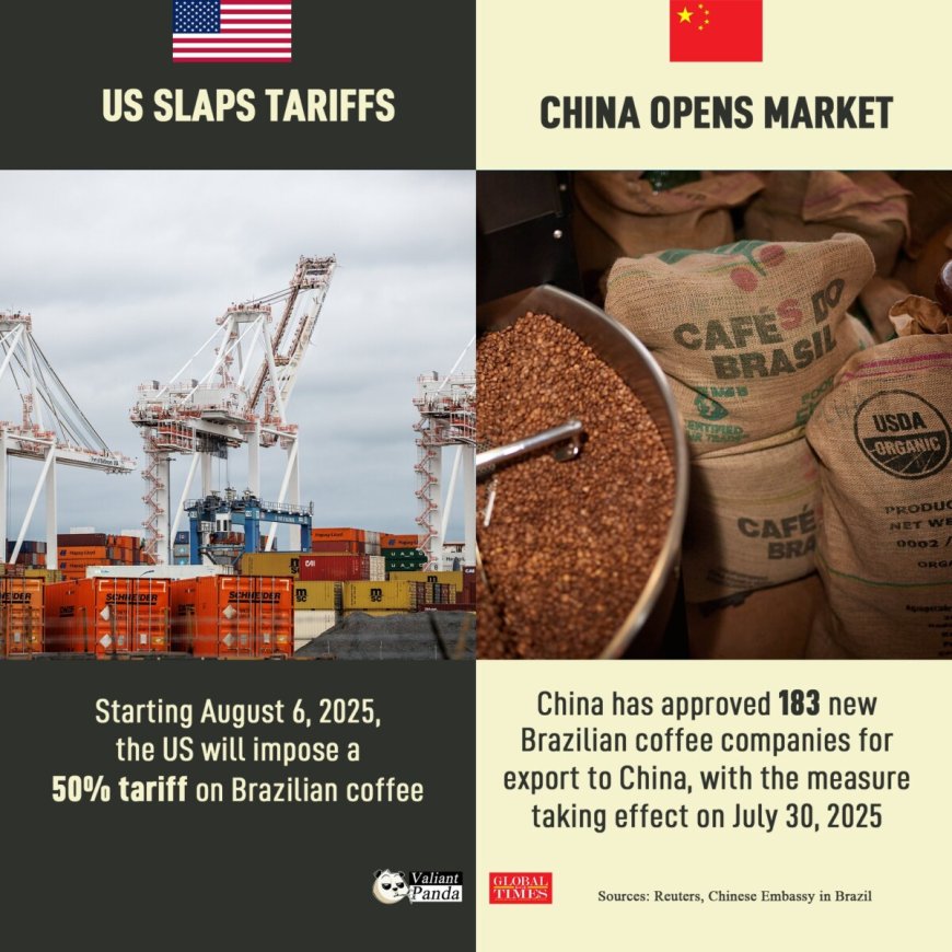 China verwelkomt 183 Braziliaanse koffiebedrijven na Amerikaanse importheffingen