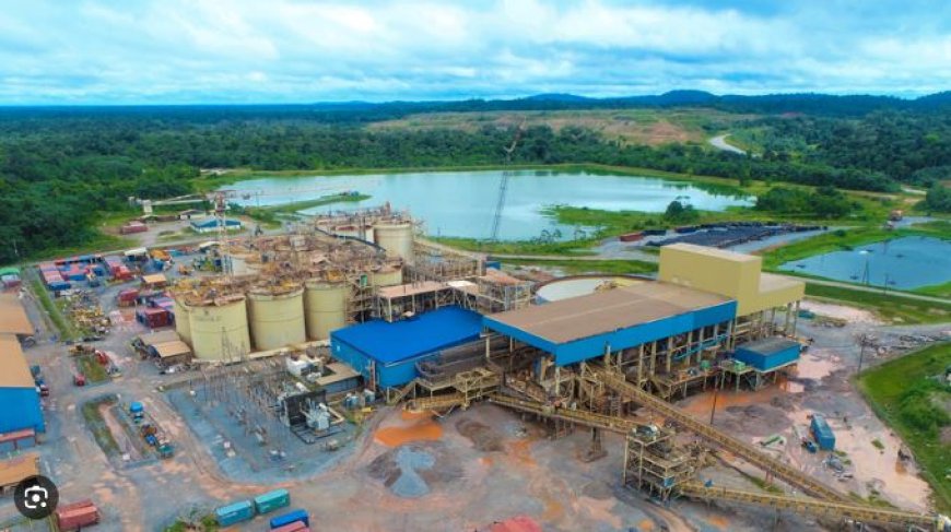 Milieu centraal bij Rosebel: Zijin investeert, overheid kijkt mee