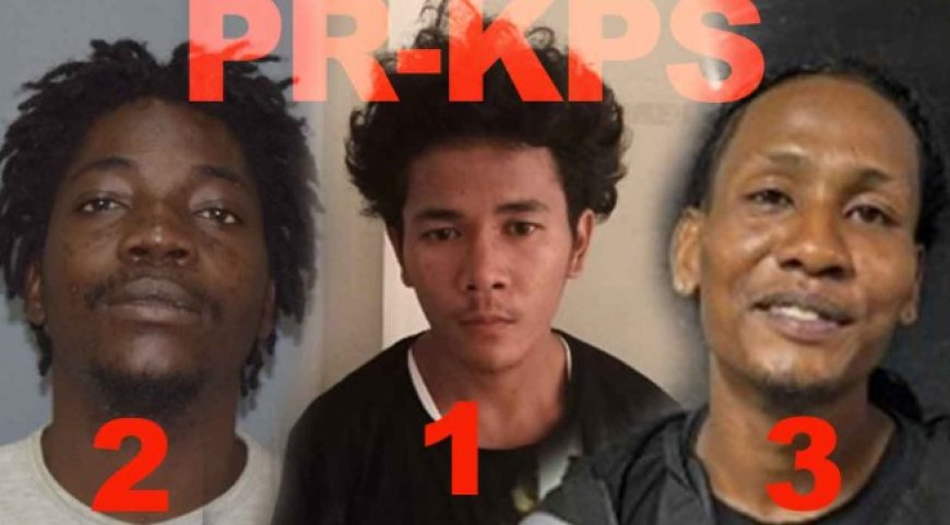 Drie ontsnapte arrestanten uit cellenhuis Santodorp gezocht door Justitie