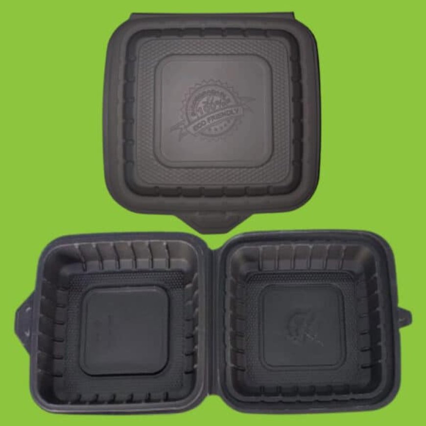 SURGE-programma stimuleert duurzame groei bij Surinaamse bedrijven