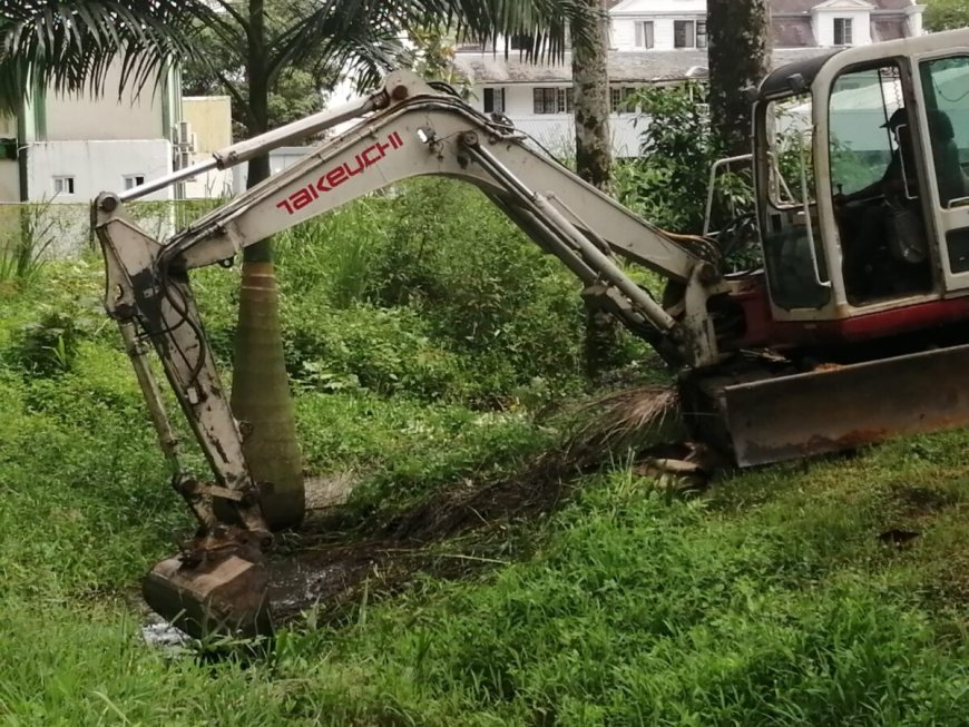 Voorbereidingen Ingi Dei in Palmentuin in volle gang