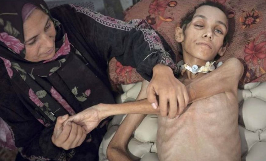 Gazanen uitgehongerd en gebombardeerd: diplomaat noemt voedselhulp via de lucht ‘vernederende