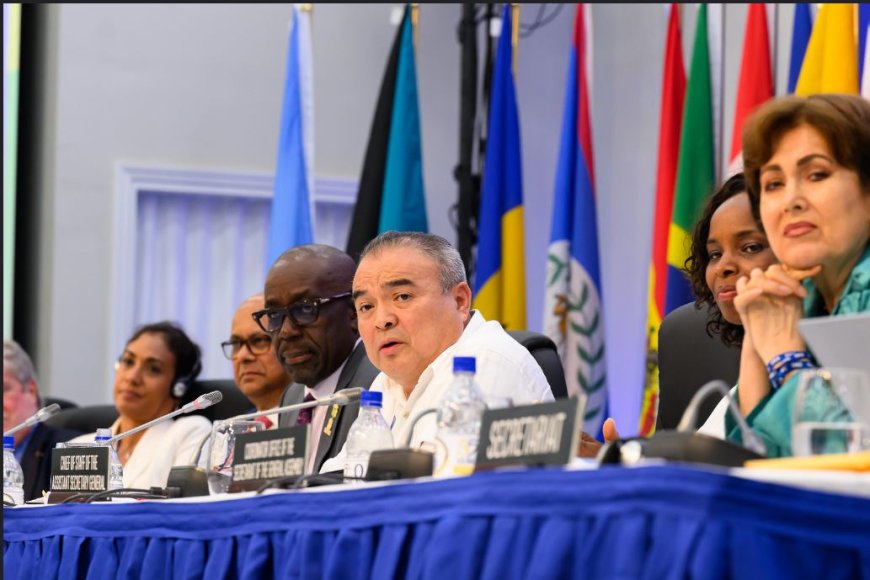 Xaviera Jessurun vrijuit in SLM-dossier, maar publieke schade blijft