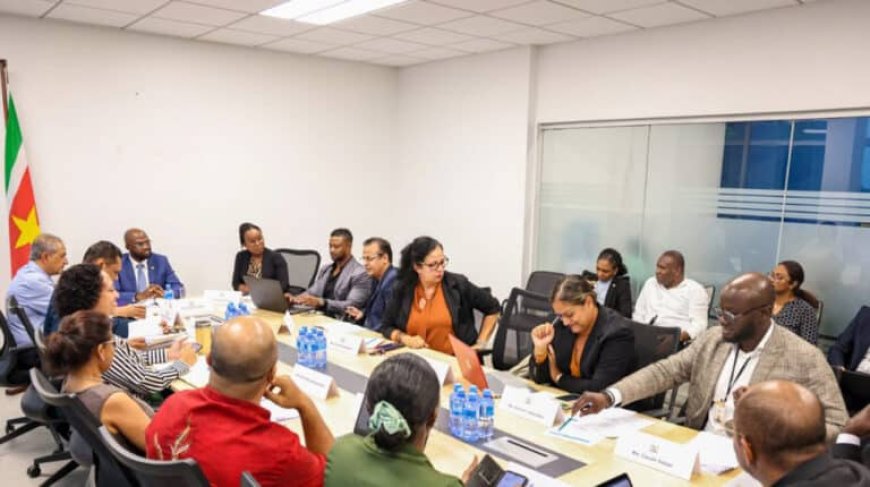 Vaste commissie van DNA voert overleg met minister Misiekaba