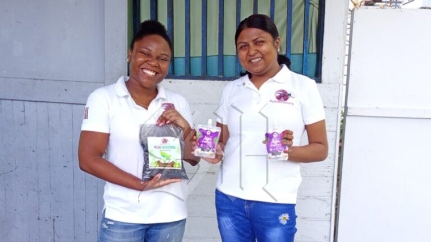 Surinaamse studenten strijden met ‘Açaiboosters’ op internationaal podium