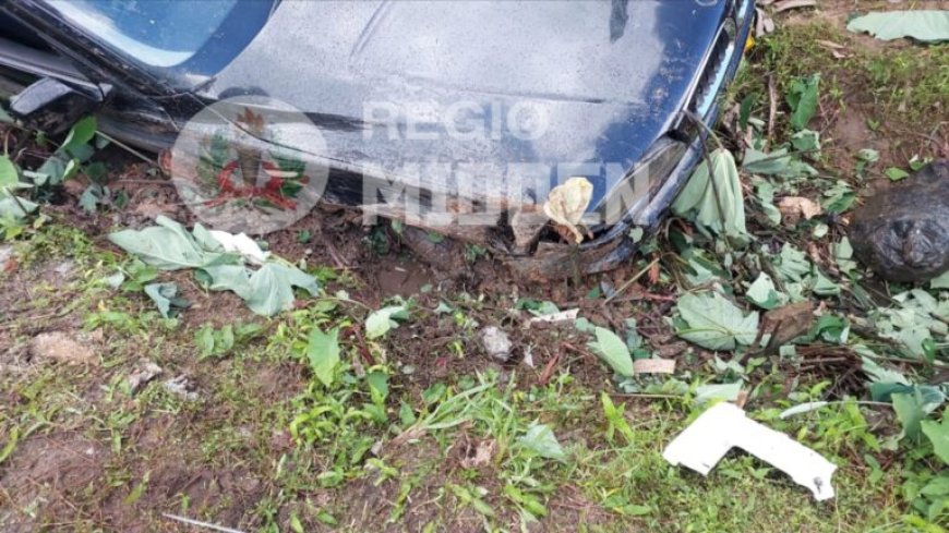 16-jarige belandt met auto in goot aan Monplaisirweg