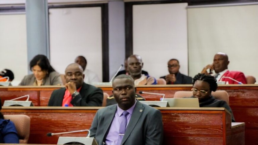 Michael Marengo toegelaten tot De Nationale Assemblee