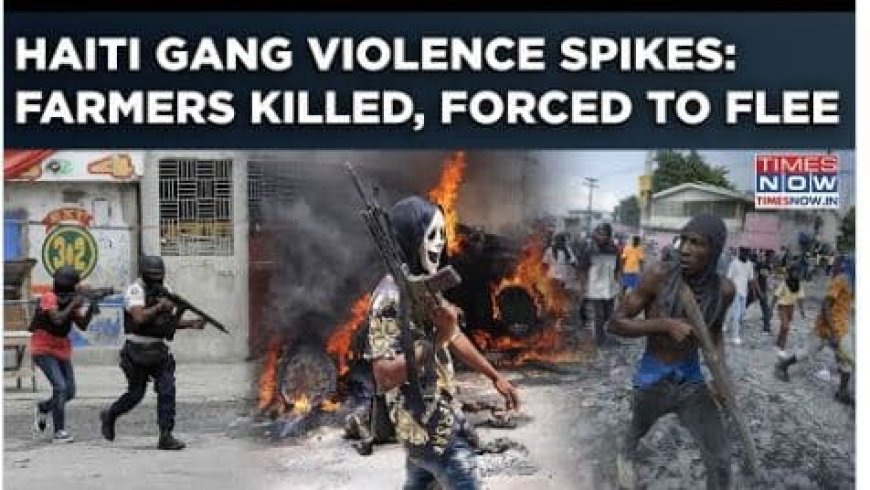 Haïti roept noodtoestand uit vanwege bendegeweld in plattelandsgebieden