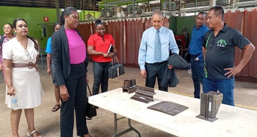 SAO en SIVIS bespreken stand van zaken met onderminister Jadnanansing