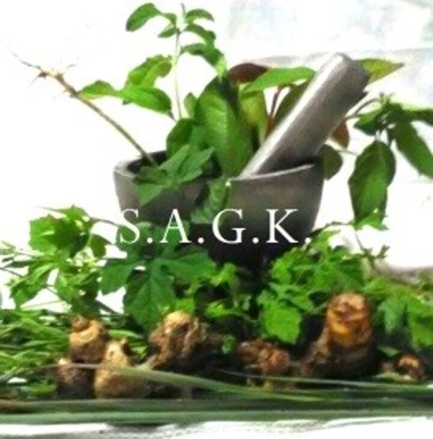 Sector natuur en traditionele geneeswijzen snakt naar noodzakelijke wettelijke erkenning en k