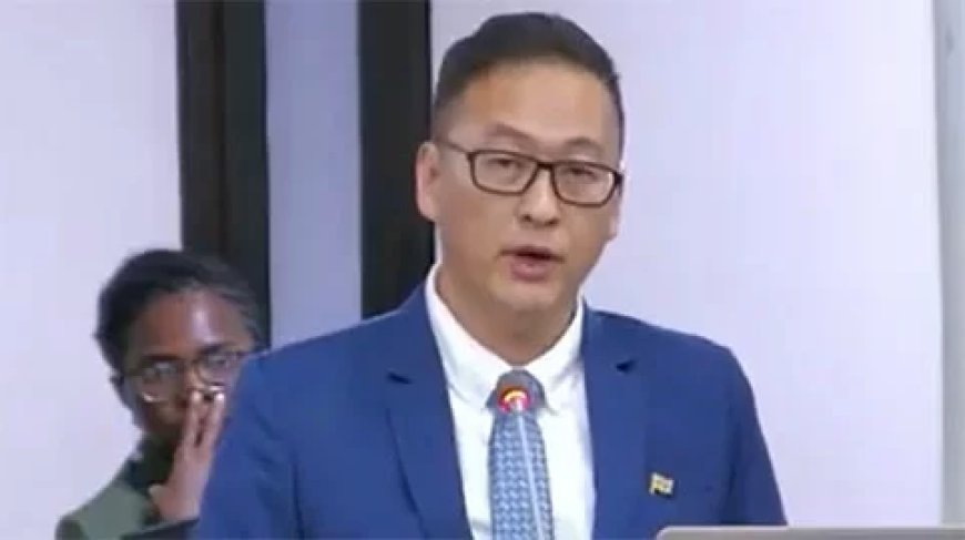 Tsang: Ik kan mij mislopen van IDB-financiering project Van ’t Hogerhuysstraat niet permitter