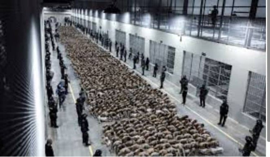 El Salvador wil detentie van bendeleden verlengen tot 2027