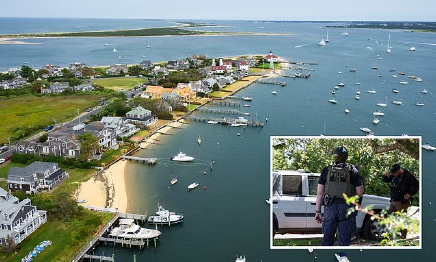 Braziliaanse vrouw in VS opgepakt en dreigt met uitzetting.