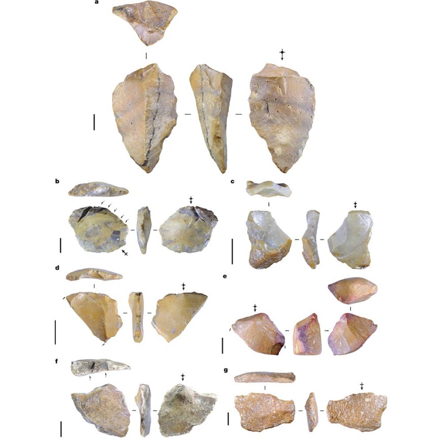 Opmerkelijk – Oudste menselijke artefacten ontdekt op Sulawesi, Indonesië