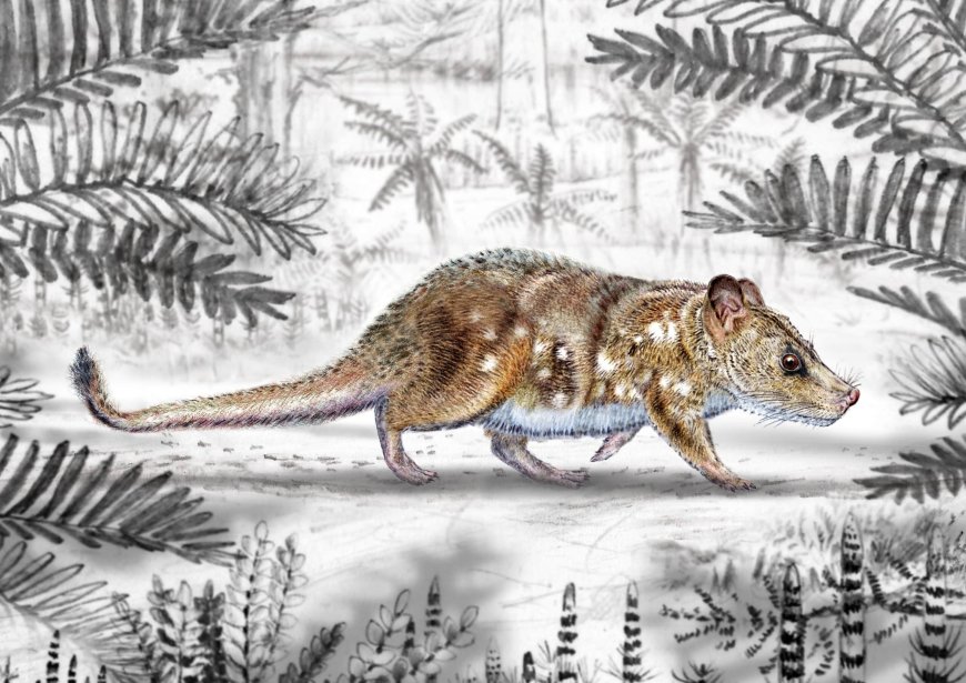 Opmerkelijk – Fossiel van piepklein zoogdier uit tijd van dinosaurus ontdekt in Chili