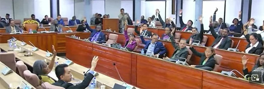 Begroting 2025 met algemene 41 stemmen aangenomen