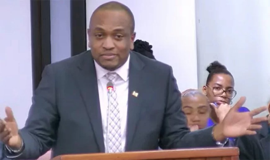 Ophef in DNA over teruggeroepen VHP-diplomaten op staatskosten