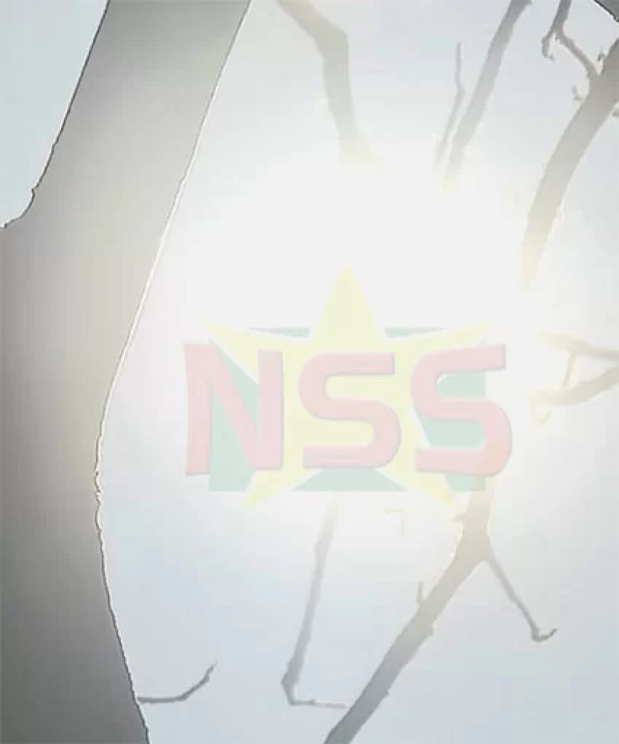 Vandaag voornamelijk zonnig