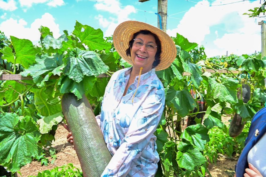 President Simons: “Suriname moet inzetten op landbouw en voedselzekerheid”