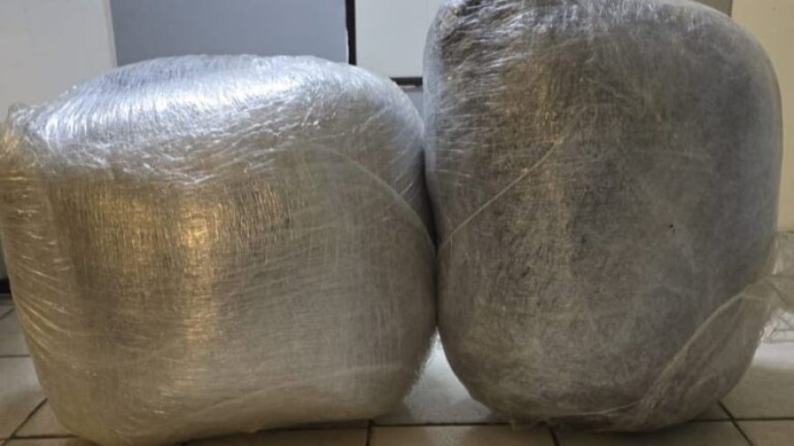 Politie onderschept 28 kilo marihuana bij controlepost Burnside