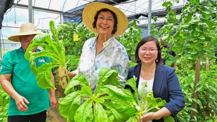 President Simons: “Landbouw moet versneld worden ontwikkeld”