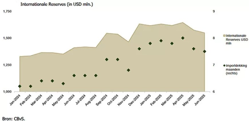 SEOB: Inflatie weer op 8%, SRD zwakker, reserves sterk maar tekorten hardnekkig