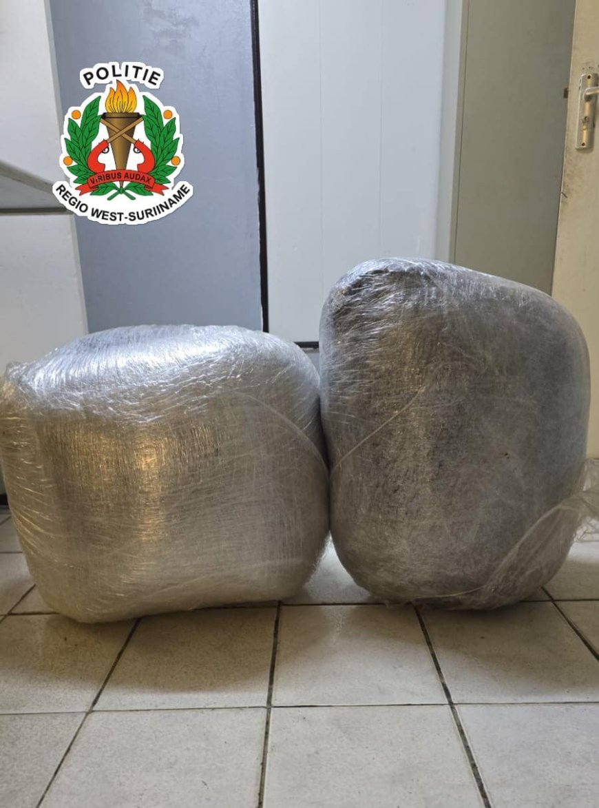 Politie onderschept 28 kilogram vermoedelijke marihuana in auto te controlepost Burnside