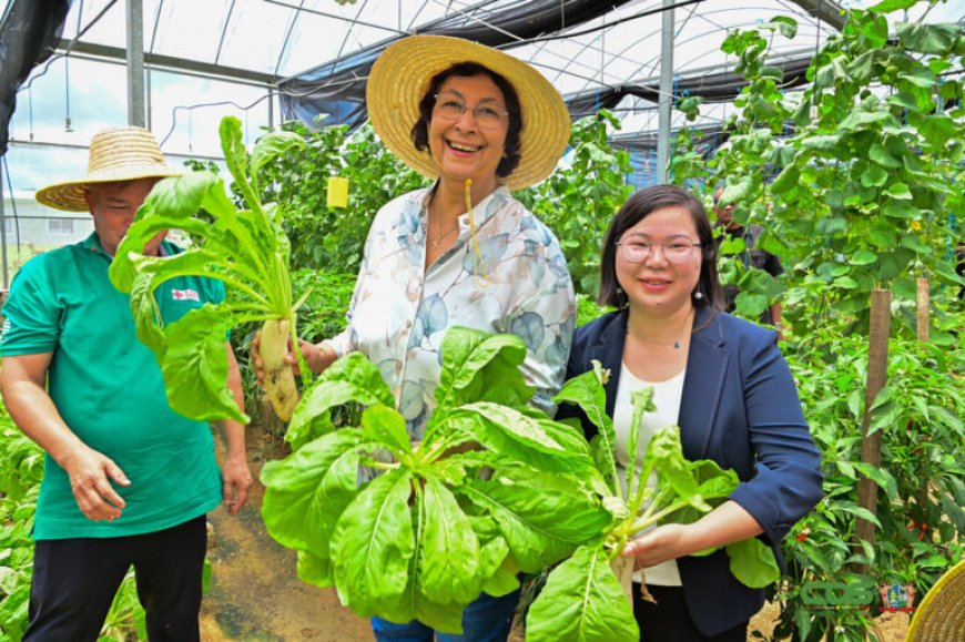 President Simons: ‘Landbouw moet versneld ontwikkeld worden’