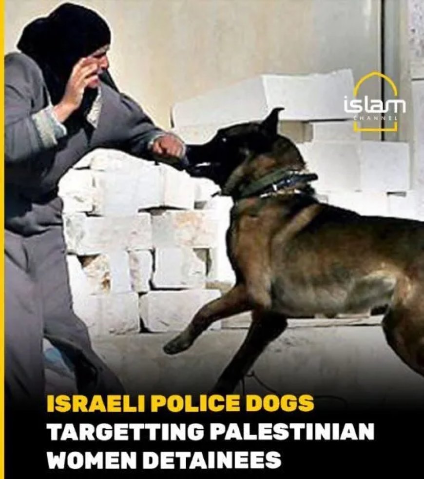 Israël beschuldigd van misbruik vrouwelijke Palestijnse gevangenen