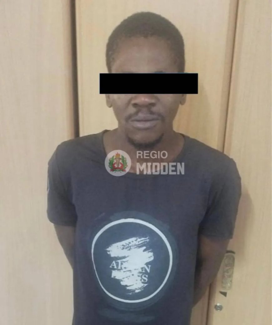 Verdachte van inbraken te Nieuw Ganzee en Brownsweg aangehouden