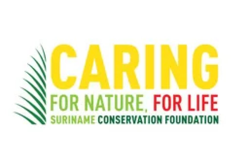 Wondgenezende werking van mokomoko wetenschappelijk bevestigd