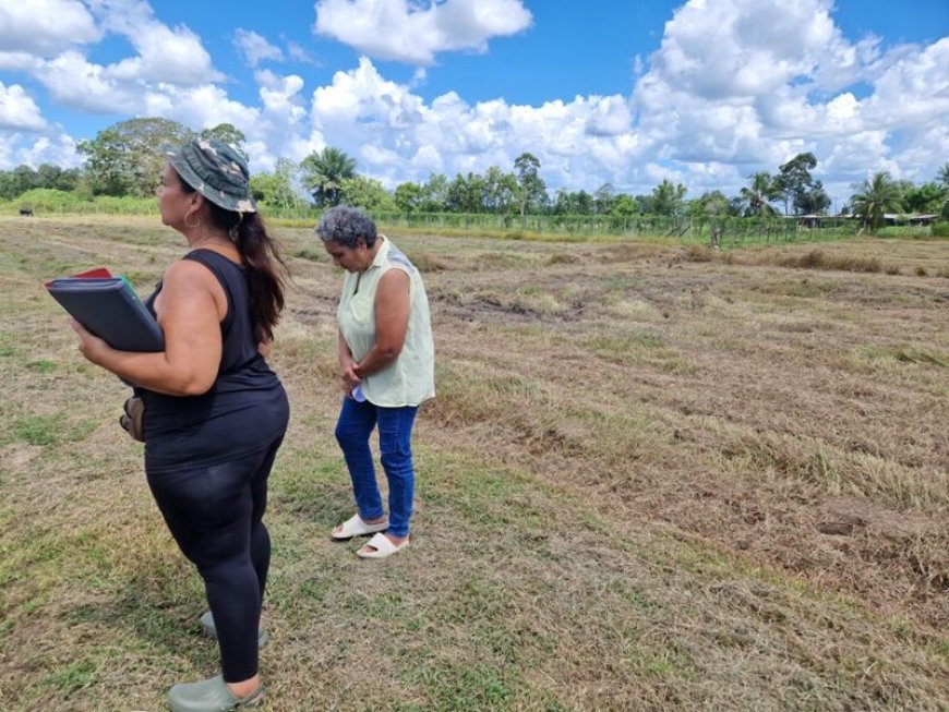Bewoners Reeberg slaan alarm na oneigenlijke uitgifte landbouwterrein: ‘We gaan nergens naart