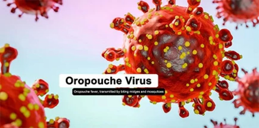 Volksgezondheid: toename Oropouche-gevallen in de regio