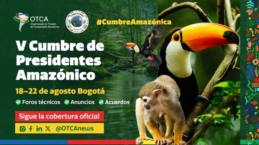 Inheemse groepen eisen actie van Zuid-Amerikaanse leiders tijdens Amazon Top