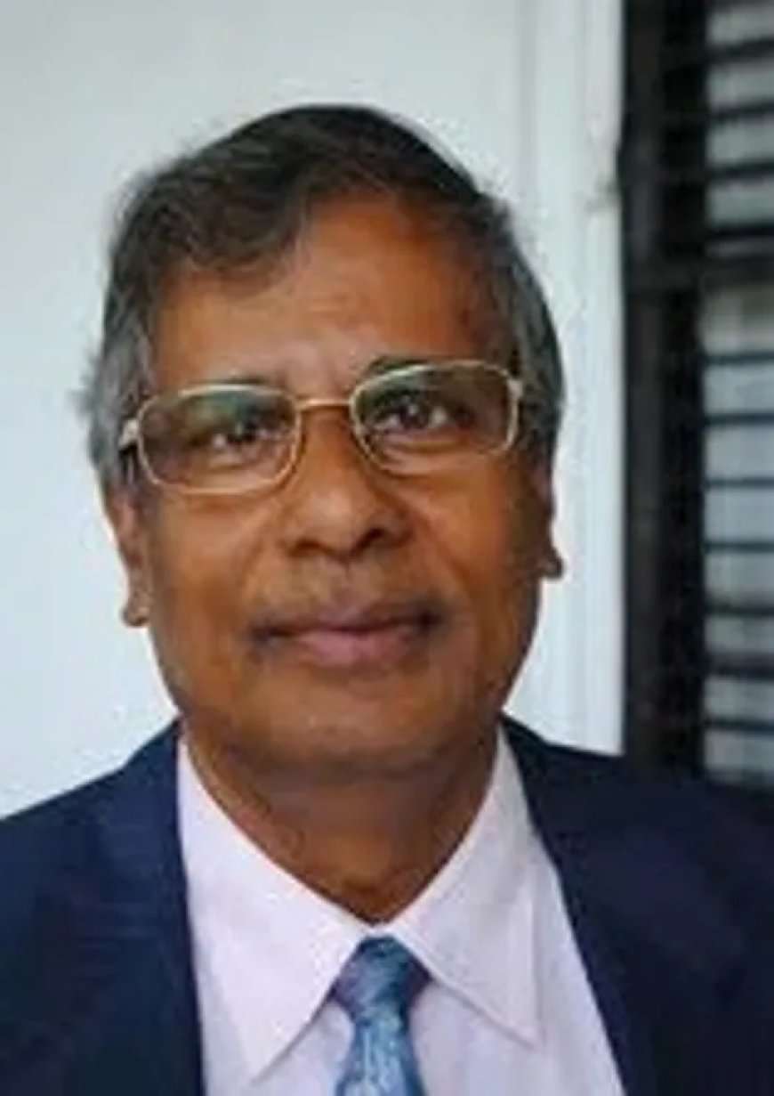 Het karakter van de staat Suriname