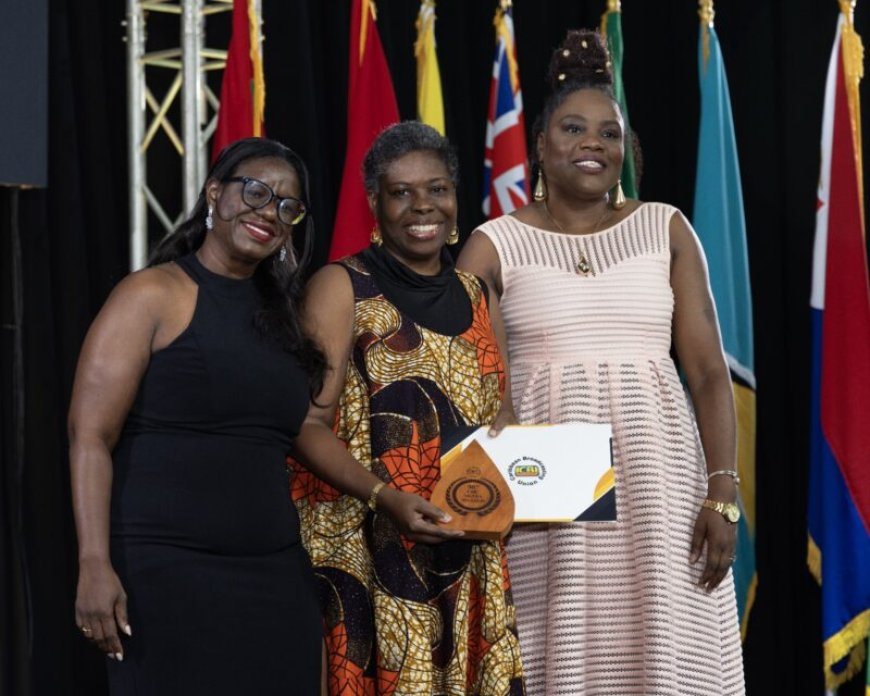 dWT-journalist Valerie Fris wint CBU-award voor verslaggeving over mensenhandel