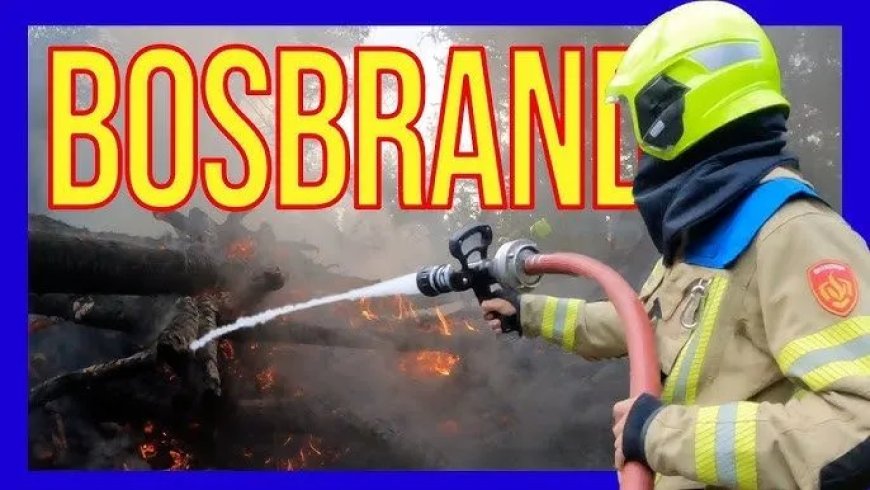 Brandweer waarschuwt: Voorkom rampen in naderende grote droge tijd – Voorkomen is beter dan b