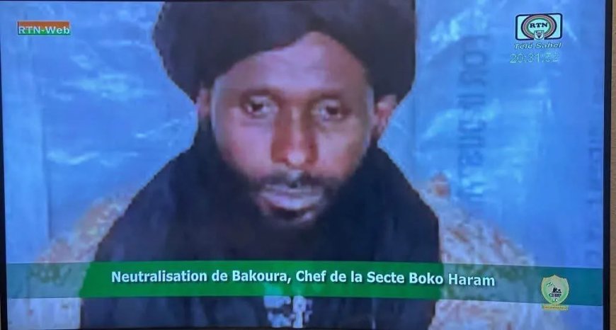 Leger Niger verklaart leider Boko Haram te hebben gedood 