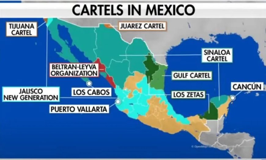 Mexico in de greep van de cartels: senator luidt noodklok