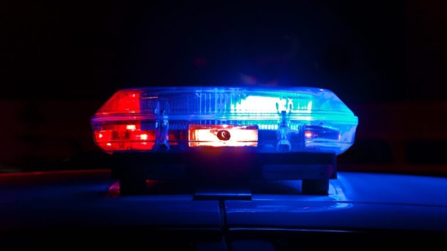 Man neergeschoten na woordenwisseling aan Coesewijnestraat