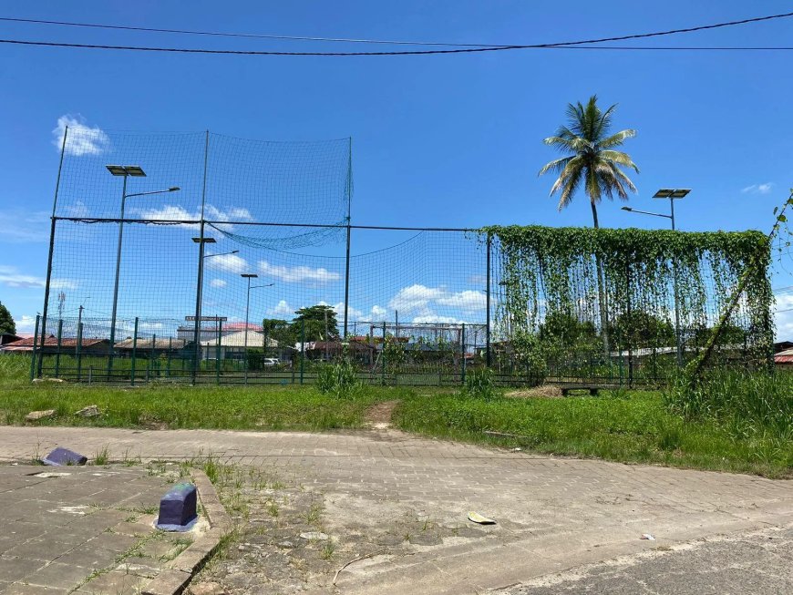 Kunstgrasvelden overwoekerd