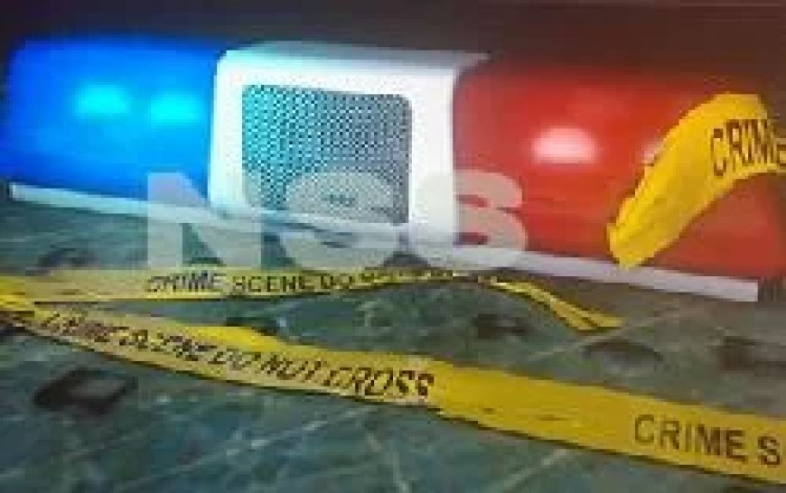 Ex-minister Regillio Dodson aangehouden na schietincident