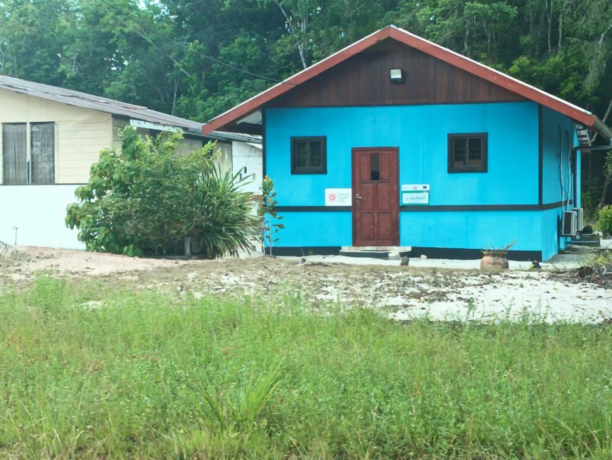 Inheemse vrouwencoöperatie versterkt ananasproductie met nieuwe machines