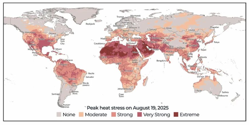 Waarom voelt de temperatuur warmer aan dan de weersverwachting aangeeft?