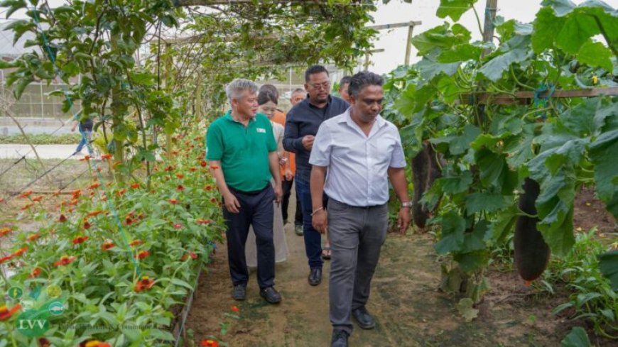 Suriname en China ronden eerste fase landbouwproject af